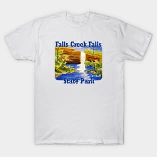 Falls Creek Falls State Park, Tennessee T-Shirt